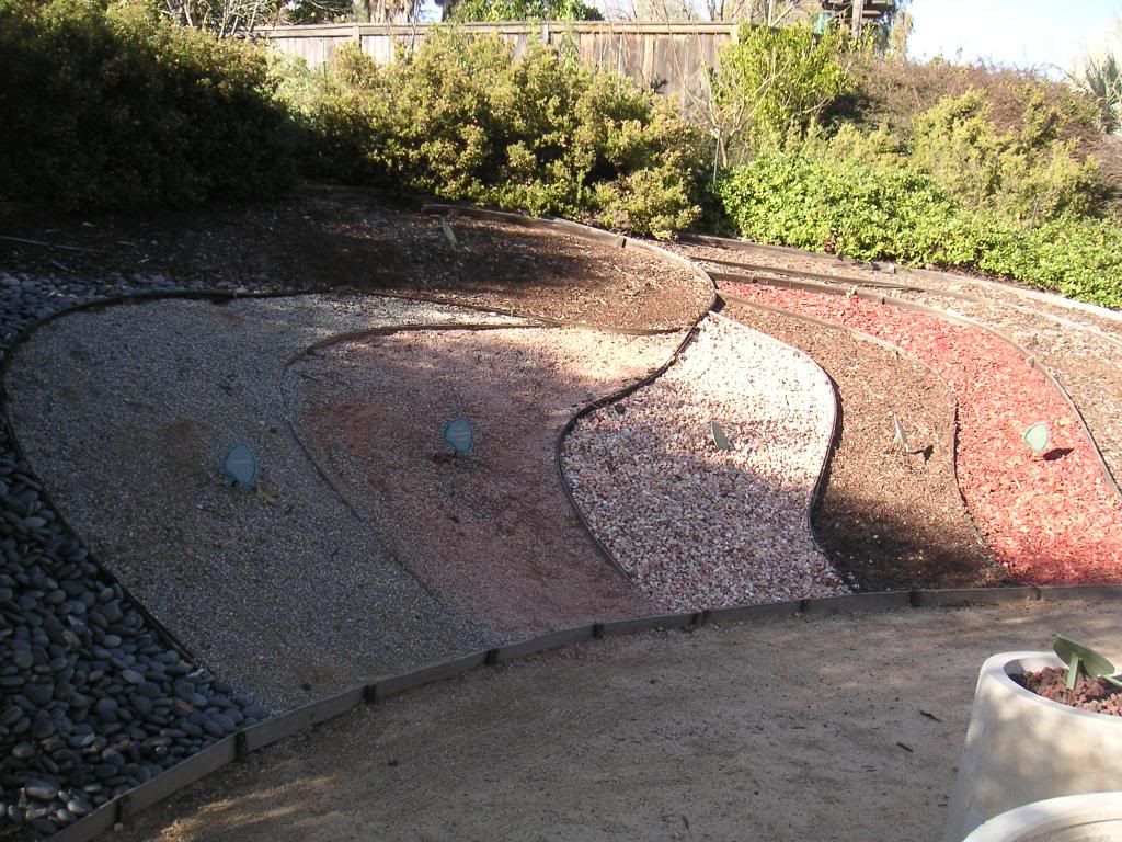 Cuyamaca College & Water Conservation Garden DISCUSSING PALM TREES